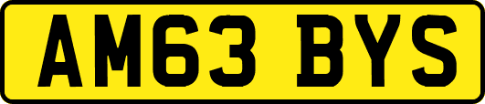 AM63BYS