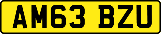 AM63BZU