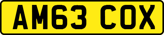AM63COX