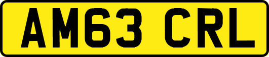 AM63CRL