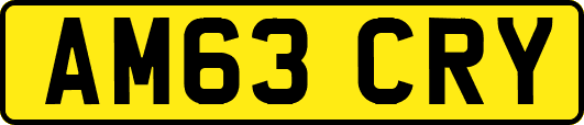 AM63CRY