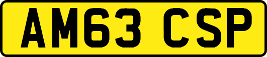 AM63CSP