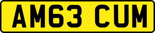 AM63CUM