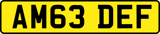 AM63DEF