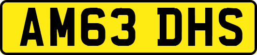 AM63DHS