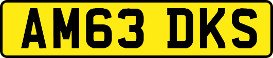AM63DKS