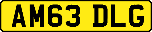 AM63DLG
