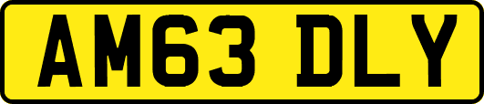 AM63DLY