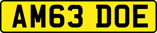 AM63DOE