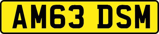 AM63DSM