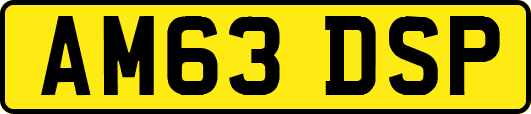 AM63DSP