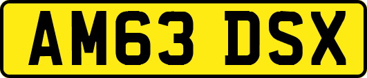 AM63DSX