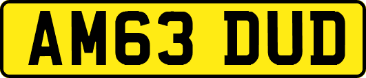 AM63DUD