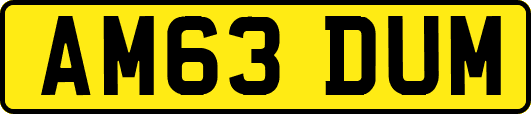 AM63DUM