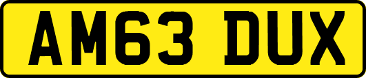 AM63DUX