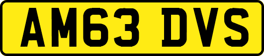 AM63DVS