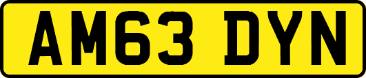 AM63DYN