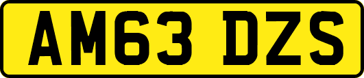 AM63DZS