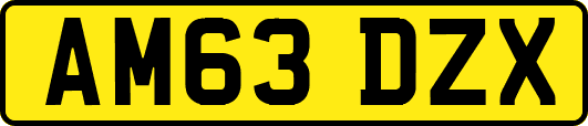 AM63DZX