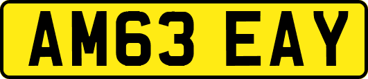 AM63EAY