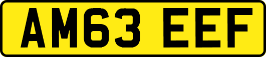 AM63EEF