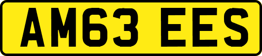 AM63EES