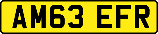 AM63EFR
