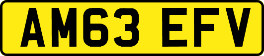 AM63EFV