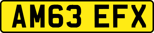 AM63EFX
