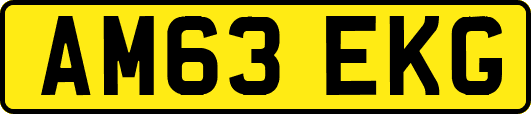 AM63EKG