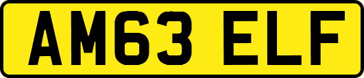 AM63ELF
