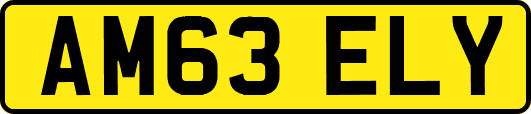 AM63ELY