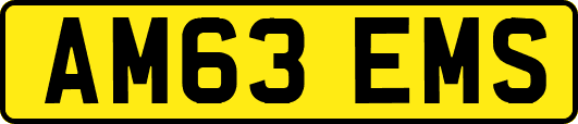 AM63EMS