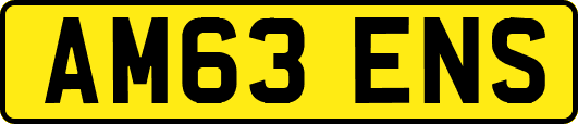 AM63ENS