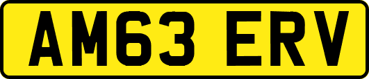 AM63ERV