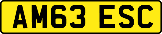 AM63ESC