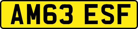 AM63ESF