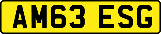 AM63ESG