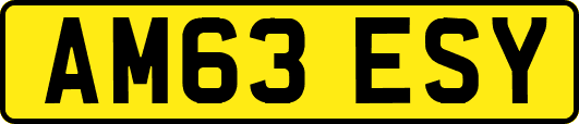 AM63ESY
