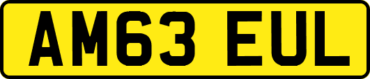 AM63EUL