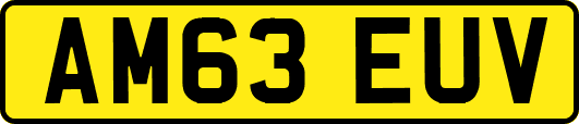 AM63EUV