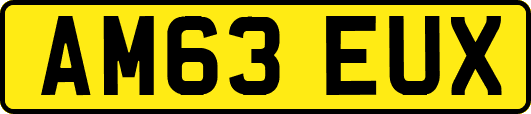 AM63EUX
