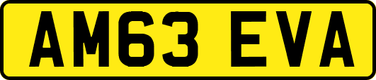 AM63EVA