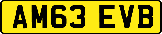 AM63EVB