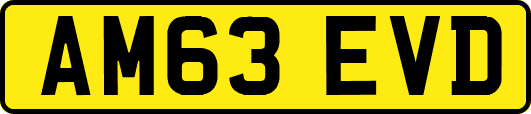 AM63EVD
