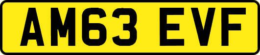 AM63EVF
