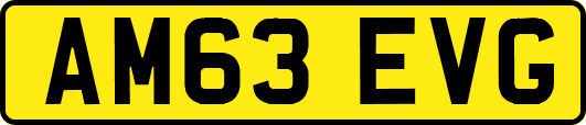 AM63EVG