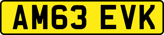 AM63EVK