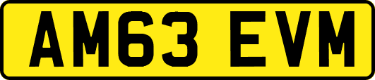 AM63EVM