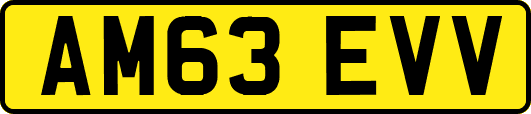 AM63EVV